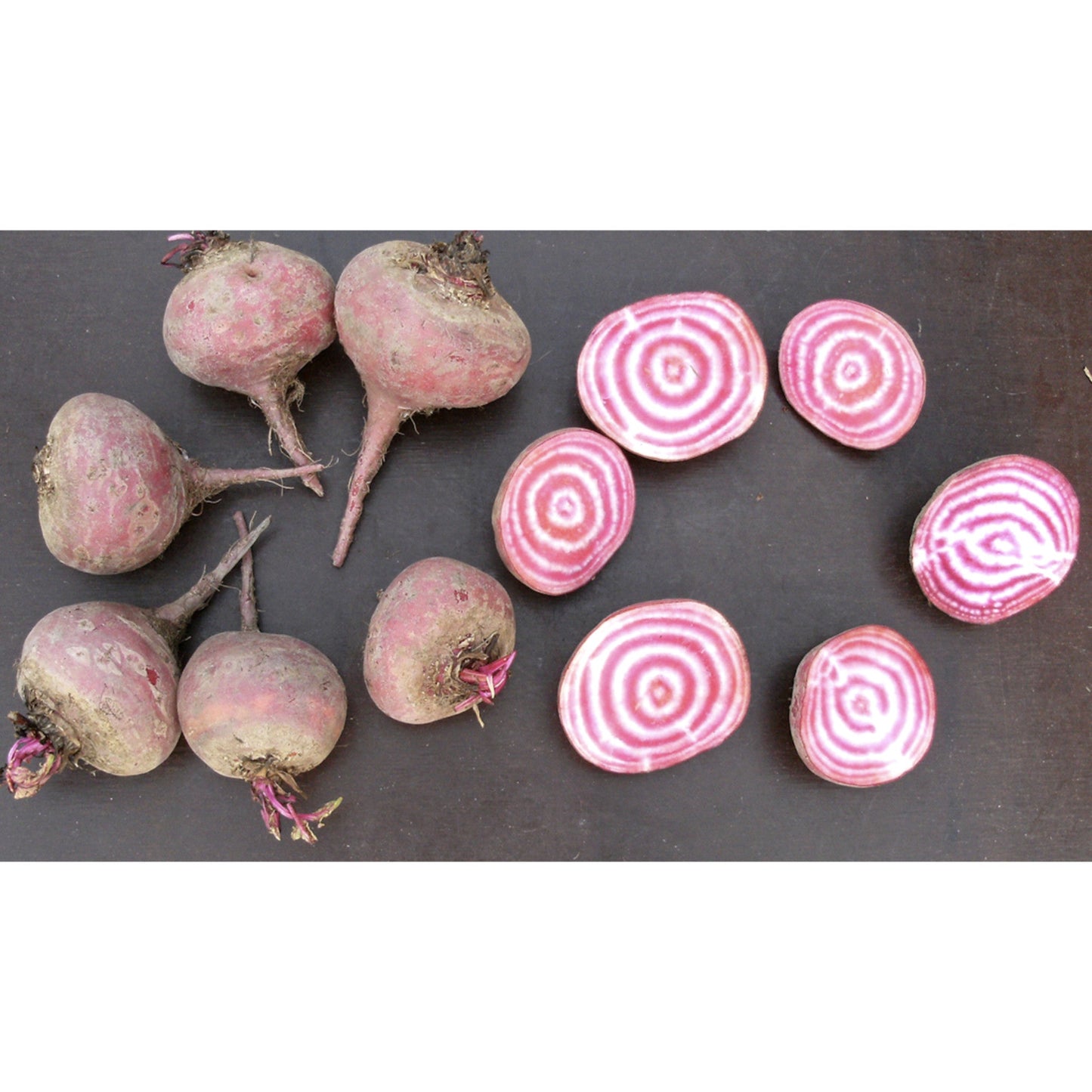 BEETROOT; Tondo di Chioggia