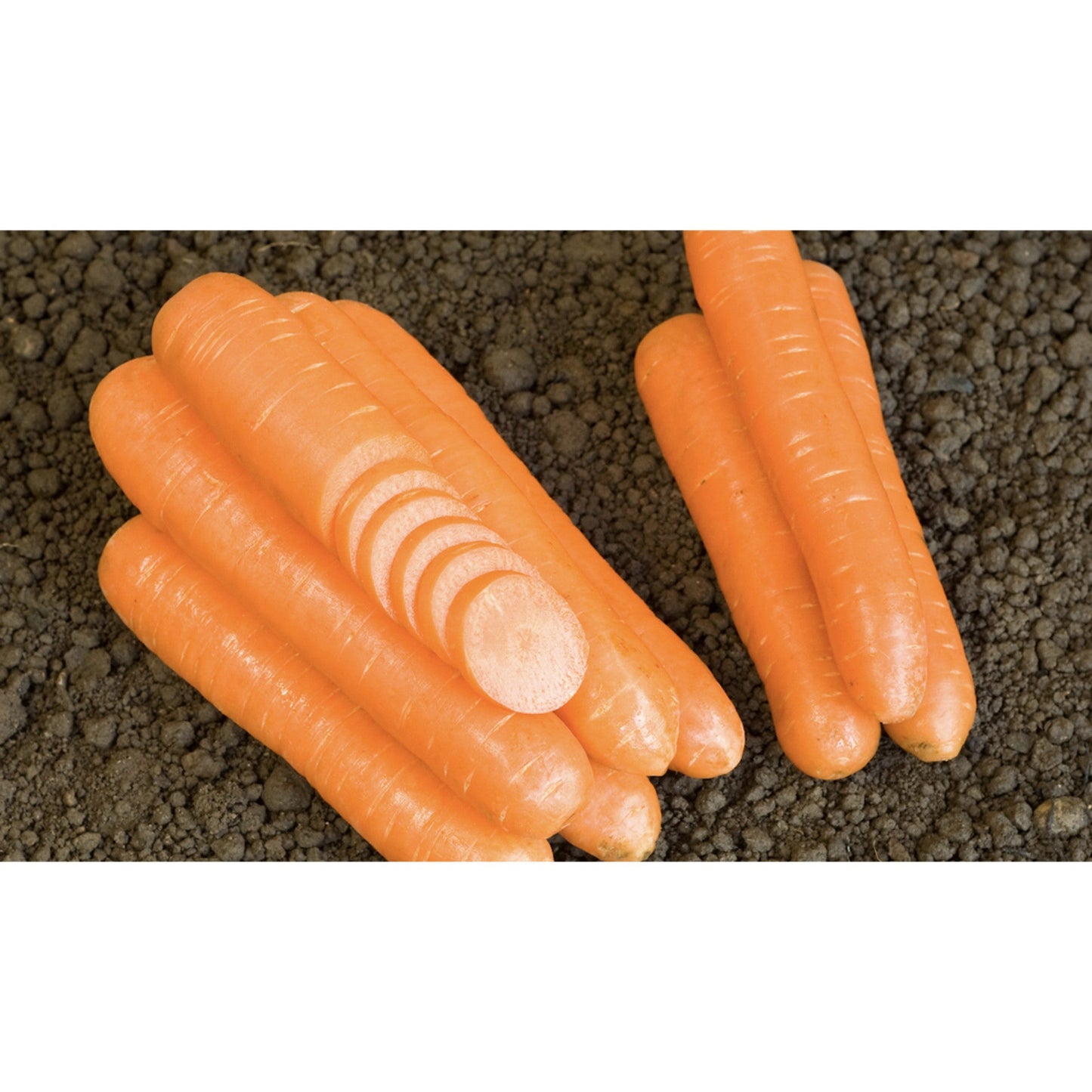 CARROT; Nantes 2/Milan